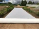 Geotextile PES 150 g/m², 4 × 50 m (200 m²), White