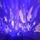 Izoxis Night Light with Star / Underwater Projector, Black