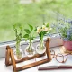 Hydroponic Vase Plant Propagation Station with Wooden Stand