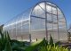 Greenhouse Klasika 36 (3X12M) With Bases And 6Mm Polycarbonate; 4779037490509