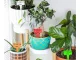 Labels for seeds and plants 50 pcs., Different colors