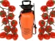 Garden Pressure Sprayer with Long Lance and Strap, 10L, Orange