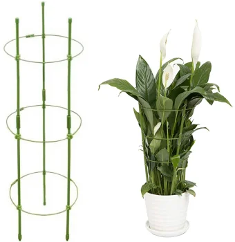Ring Plant Support 60 cm