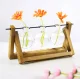 Hydroponic Vase Plant Propagation Station with Wooden Stand