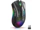 Wireless Mouse 2.4GHz with RGB Backlight, 1600 DPI, Black