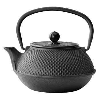 Bredemeijer Jang Cast Iron Teapot with Filter 0.8L Black G001Z