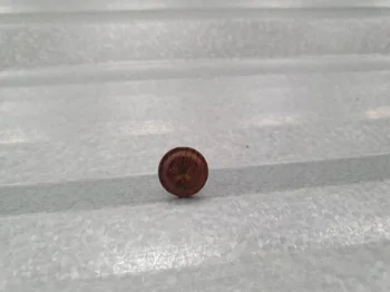 Fastening Screws for Profiled Metal Fence 4.2x16 mm RAL 8017