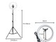 LED Ring Light with 100cm Tripod Stand and Phone Holder, 3 Light Modes