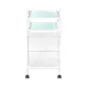 Beauty Trolley Giovanni Type 1031 with 4 Glass Shelves, White