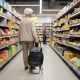 Shopping Cart with Seat for Seniors ModernHome 30L Grocery Trolley with Large Wheels, Gray