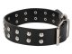 Adjustable eco-leather dog collar with studs L