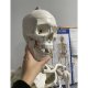 Anatomical model of the human skeleton 170 cm, on a stand