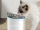 Automatic Cat Water Fountain 2.2L with Motion Sensor and Filter, White