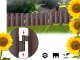 Garden Palisade Flowerbed Barrier Fence 215cm, Set of 8 Elements