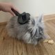 Self Cleaning Pet Comb Dog Cat Rabbit Puppy Massage Brush Tool