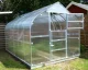 Greenhouse KLASIKA STANDART 20, 2.5x8 m, with Foundation and 6 mm Polycarbonate