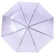Transparent Umbrella BQ13C, Purple