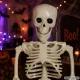 Hanging Human Skeleton Halloween Decoration 40 x 10 cm, White