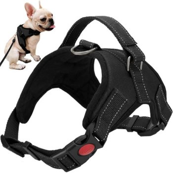 Pressure-Free Dog Harness, Size S