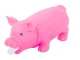 Squeaky Pig Chew Toy for Dogs and Pets