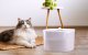 Petoneer Fresco EzGo Smart Pet Fountain 2L with App Control & UV Sterilization