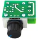 Voltage and Motor Speed Regulator 2000W 230V AC