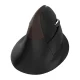 Delux M618 Mini Wireless Ergonomic Mouse