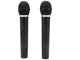 Karaoke Set 2x Wireless Microphones + Station