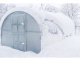 Greenhouse Klasika 12 (3X4M) With Foundations And 6Mm Polycarbonate Coating; 4779037490202