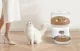 Automatic Pet Feeder Rojeco 3L Button Version - White Smart Dispenser