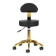 Activeshop AM-304G Cosmetic Stool with Backrest, Black/Gold