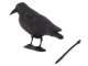 Bird Deterrent, Crow Dummy, Figure, 40 cm