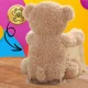 Bakalu Interactive Peek-A-Boo Teddy Bear, 30 cm
