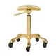 Gabbiano Fine Gold Roll Speed Hairdressing Stool