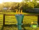Carruzzo Solar Mole Repeller, 2 Pcs