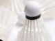 Feather Badminton Shuttlecocks 12-Pack Durable Birdies, White