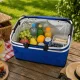 Collapsible Thermal Picnic and Shopping Basket, Blue