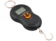 Digital Hanging Scale for Fishing & Luggage 50kg