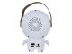 Portable Karaoke Machine with 2 Wireless Microphones and Bluetooth Speaker