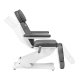 Sillon Classic Electric Beauty Chair with 3 Motors, Grey