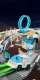 Space XL Racing Track 276 Pcs