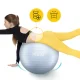 Gymnastic Exercise Ball 4FIZJO Reh Ball 75 cm with Pump, Grey