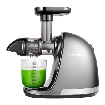 Amzchef 1501-GA Slow Juicer, Grey