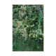Plant Support Trellis Netting 1.8 x 2.7 m, Green
