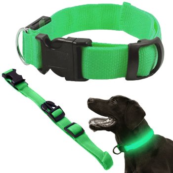Adjustable Light Up LED Dog and Cat Collar, up to 59 cm, Green