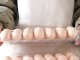 Egg tray for fridge, 14 pcs, universal