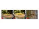 Insect Trap for Mosquitoes, Flies, and Wasps