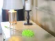 Telescopic Microfiber Duster 25-75cm Green