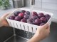 Divided Food Storage Container with Drainer Inserts and Handle, White