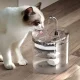 Automatic Pet Water Fountain 2L with Filter for Cats and Dogs, Clear